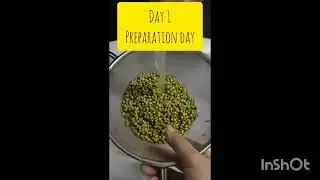 Grow Microgreens at Home &mdash; The Easiest Superfood Ever #microgreens#nutrients#growmicrogreenswithlipi