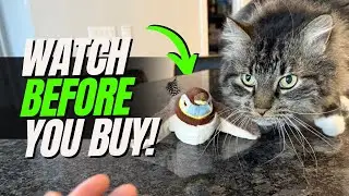 is it WORTH it? - Interactive Bird Toy Review. | Flappy bird toy for cat REVIEW