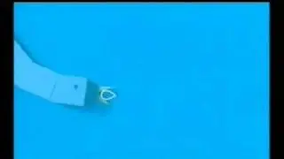 VERY ID : YOMEGO - GOOSE
