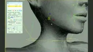BonyFace 1.0 Splines