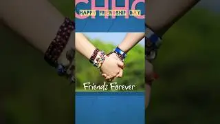 Happy Friendship Day 2018 Full Screen WhatsApp Status Video
