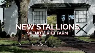 With Three New Recruits, Spendthrift Gearing Up for Another Busy Breeding Season