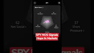 SPY Net Option Sentiment: Investor Hope Returns? 📊📈