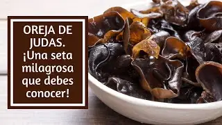 Oreja de Judas. &iexcl;Una seta milagrosa que DEBES CONOCER!