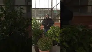 Pots et plantes &agrave; incorporer dans votre ext&eacute;rieur 🪴