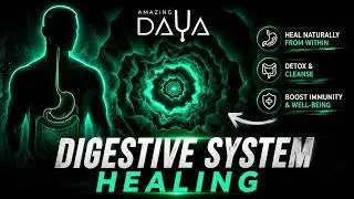 DIGESTIVE SYSTEM HEALING MUSIC (binaural beat embeded) | COLON | INTESTINES | STOMACH