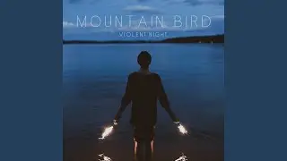 Violent Night