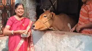 গীতা অলিম্পিয়াডে ছবি মহান্তির গোমাতা সেবা l