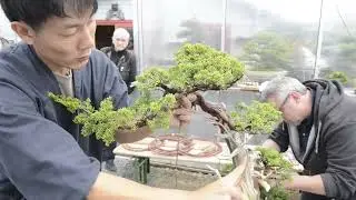 minoru akiyama wiring