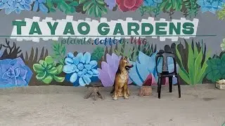 Tayao Gardens #touristattraction  #adventures #benguet