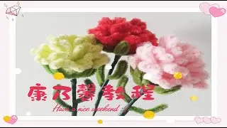 【扭扭棒】母亲节康乃馨教程(006)/Mother's Day Carnation Tutorial 006