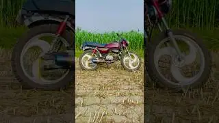 CD DAWN FULL MODIFIED 😱. SC PROJET EXHAUST #viralvideo #shorts