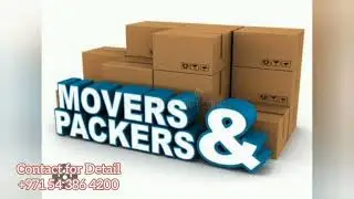 Effortless Relocation Solutions| Discover the Best Moving Services in Dubai with Move Packer Company