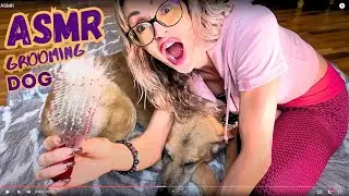ASMR Dog Grooming: Relaxing Brushing and Trimming Sounds Helping You Fall Asleep, Softly Spoken Love