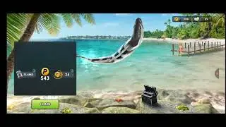 Play fishing clash find a legendary one