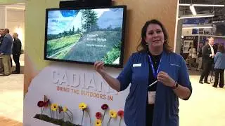 Cree Lighting's Cadiant&trade; Dynamic Skylight at LFI 2019