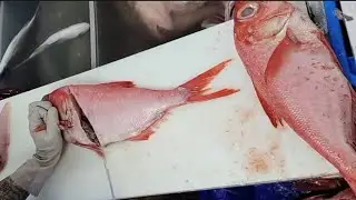 Filleting Fish Satisfying | Cool Fish Filleting Compilation SkillsFish Cutting Skills Professional