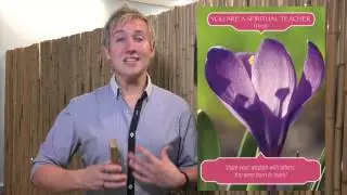 Weekly Spiritual Guidance for 22nd - 28th December with Robert Reeves