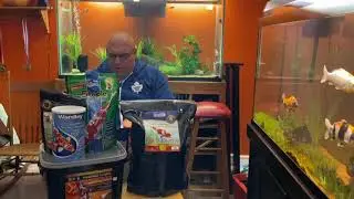A Review of Koi & Goldfish Food