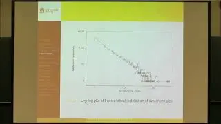 Prof. Giulia Iori | Financial regulations and bank credit to the real economy