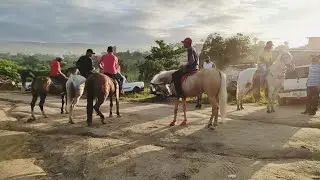 FEIRA DE CAVALO EM JOÃO ALFREDO PE