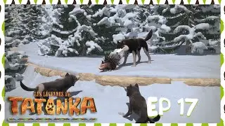 Tatonka en Français 🐺 Une histoire de territoire 👀 Dessin animé