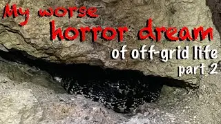 Challenges of off-grid life, my greatest horror dream becoming true... our snake story continues