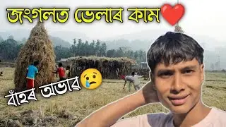 উৰুকাৰ আগদিনাও সম্পূৰ্ণ নহ'ল😢। Magh bihu vlog❤️ Unique Meji bonai asu guys!!!!😍