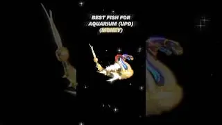 BEST Aquarium Fish For Money! #roblox #fisch #aquarium