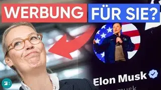 Brisanter AfD-Talk mit Musk: Ist das Gespr&auml;ch eine illegale Parteispende?