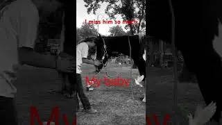 I miss him so so much. Rest in peace rebel🕊️
