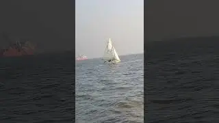 Sailing Boat at ⛵ sea #viral #travel #yt #speedboat #sailingboat #indian #samudra #viralreel