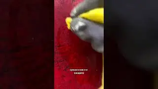 Новая переделка