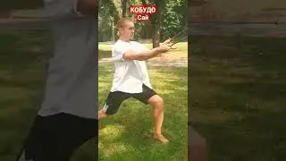 #каратэ #karate #кобудо #кобудоминск #сай #kobudo #kobudoweapons #sai #saiweapon #kobudokarate