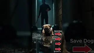 #dogsad #saddog #dogs #sad