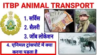 ITBP Animal Transport Work Profile  ITBP एनिमल ट्रांपोर्ट में क्या क्या करना पड़ता है A to Z Jankari