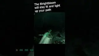 Depths Exploring Tip! How to Use Brightbloom on a Air Bike!