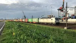 Cargo trains (RTBc, DBC, LTE, SBB) | Pernis - 4K