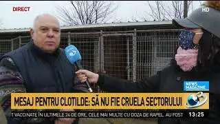 Şapte dintre c&acirc;inii lui Corneliu Vadim Tudor &icirc;şi caută stăp&acirc;ni. Mesaj pentru Clotilde Armand