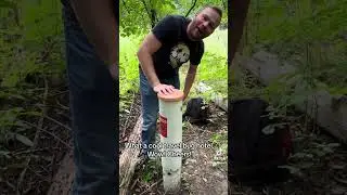 A disguised travel bug hotel!