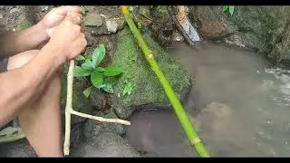 crab catching technique, unique ways of fishing crab