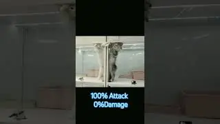 #playfulkitty#attackmode