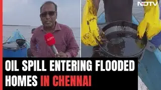 Chennai Oil Spill | After Cyclone, Blame Game Over Oil Spill In Chennai