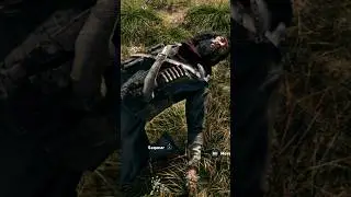 SIMPLESMENTE UBISOFT KAKAKA - Far Cry 5 #bugsoft #farcry5