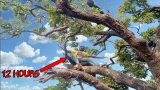 12 Hours On Tree😱 पेड़ पर बिताई दिन! Tree Challenge