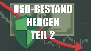 💵 US-Dollar Hedging leicht gemacht: Euro-Futures & Optionen im Einsatz