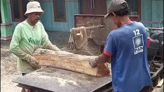 proses pemotongan kayu dgn sirkle grandong donfeng‼️#pejuangkeluarga #gergajiserkelpiringan #diesel