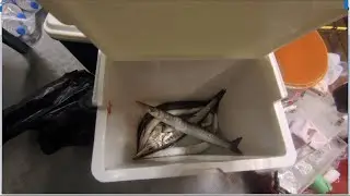 Karataş Gece Avı