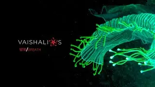 Vaishali-S | Haute Couture Show | Fall-Winter 2021