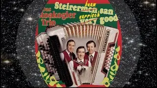 Das Stoakogler Trio 1992 Samma wieder guat